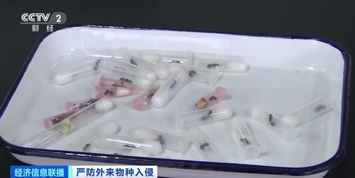 重磅！致死鐵案專辦 官方亮劍重點(diǎn)打擊法醫(yī)鑒定失真與謎團(tuán)
